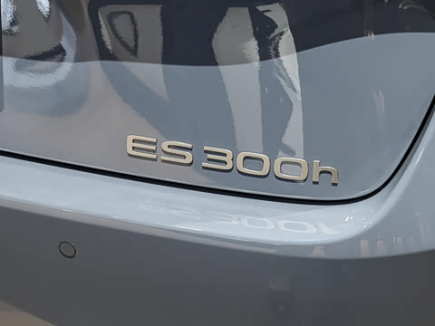 2026�� 300h