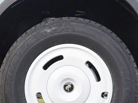 2025�� 2.3T 1966��׼��