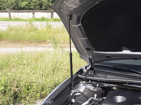 2026�� 2.0GVP ������