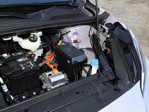 2026�� ���̬��о��