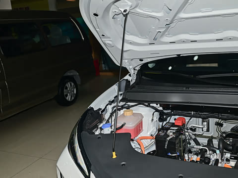 2025�� 530�캽��