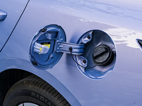 2026�� 1.5L �������� ������