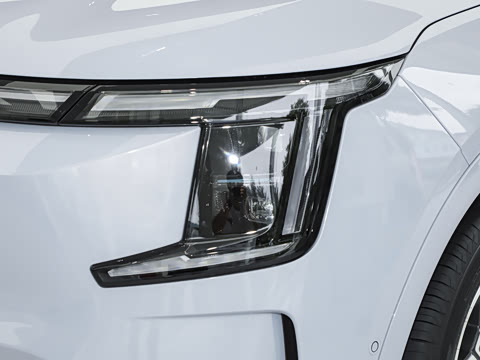 2026�� 121km ������ 7��