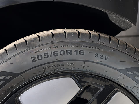 2026�� 310�Ȱ���