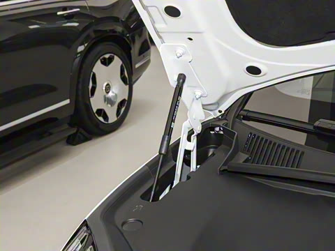 2026�� 103������  Ultra+��