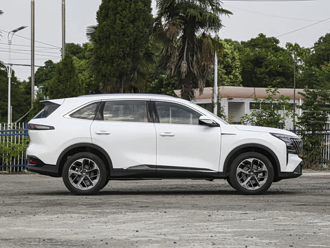 2026�� ���Ĵ� 1.5T �������� ������