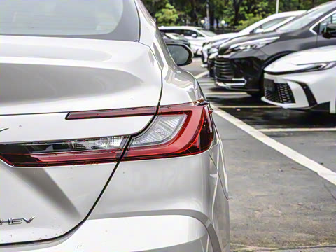 2026�� ˫�� 2.0HGVP ������