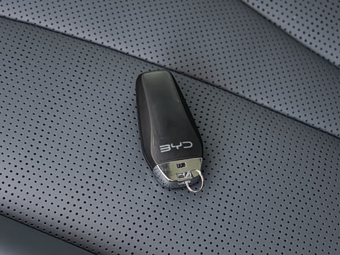 2026�� DM-i 305�캽��