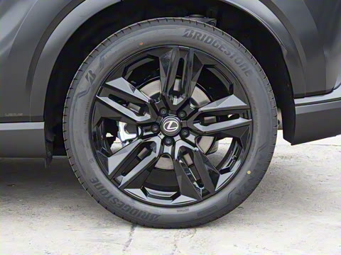 2026�� 300 ����Black Edition