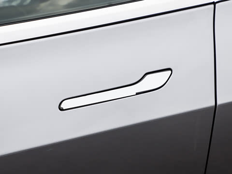 2025�� �Ŀ� ����������������