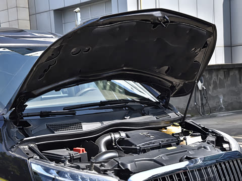 2023�� ��ʨϵ�� 2.0T �� 7��