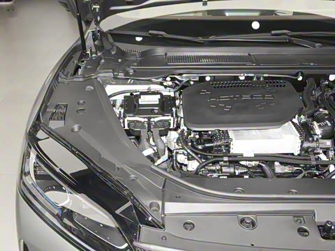 2025�� 260����������