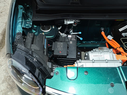 2026�� 301km ������