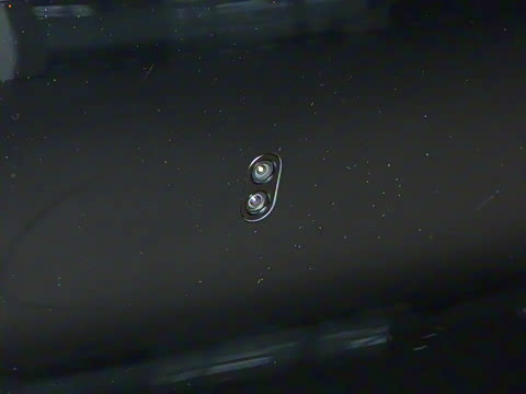 2026�� ���� Max