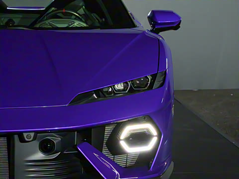 2025�� Alleggerita