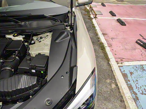 2025�� ������