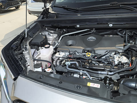 2026�� ˫�� 2.5L ����������