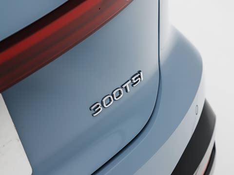 2026�� S 300TSI ������