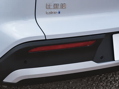 2026�� DM-i 220KM��Խ��