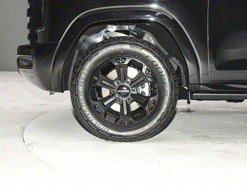 2025�� 2.0T ����������ʿ��