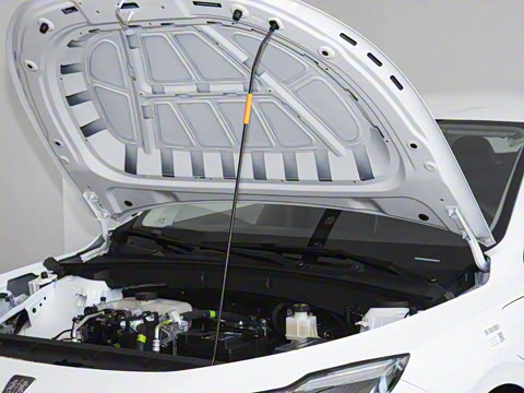 2025�� 520km �����