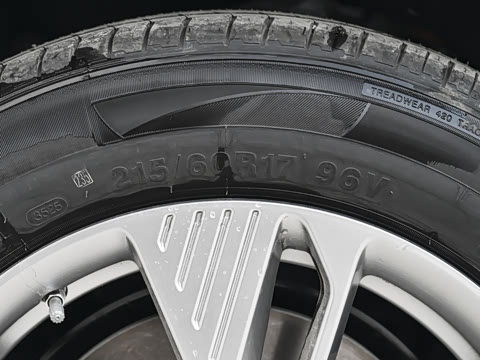 2025�� 565km ������