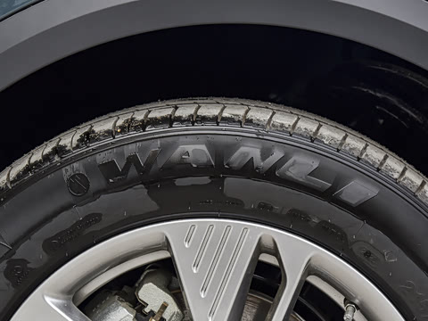 2025�� 445km ���ð�