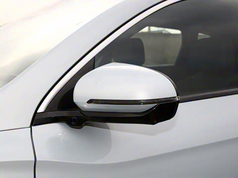 2026�� DM-i 133KM��Խ��