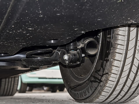 2025�� 445km ���ð�