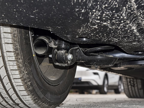 2025�� 445km ���ð�