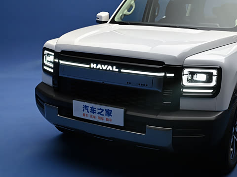 2026�� 255km ������