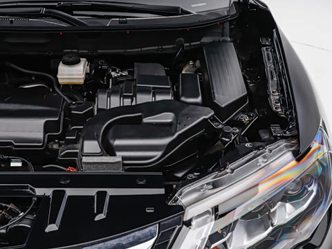 2025�� ���� 2.0L �������Ȱ�