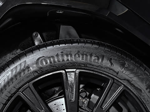 2025�� ������