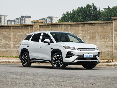 2026�� DM-i 310KM ׿Խ��