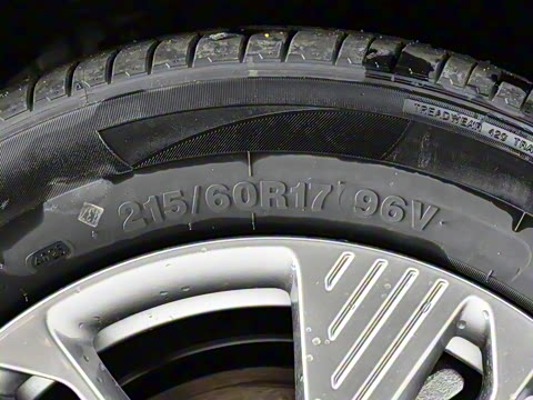 2025�� 565km ������