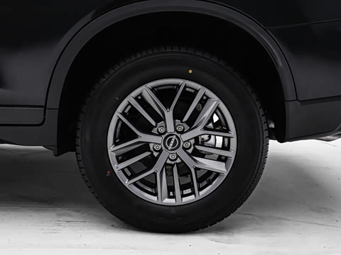 2025�� ���� 2.0L �������Ȱ�
