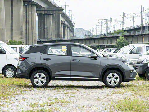 2026�� 1.5L �ֶ�������