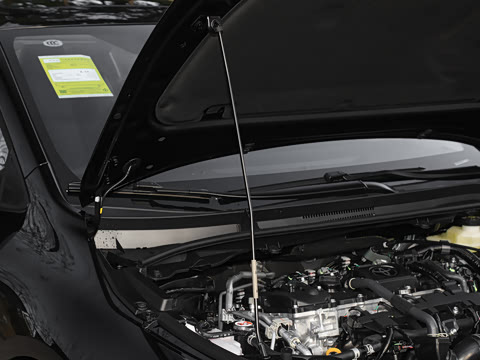 2026�� 1.8L ˫�� ��Ӣ��