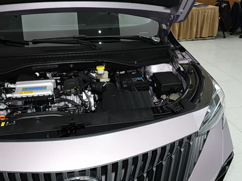 2026�� Ӱ�� 270T ������