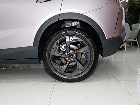 2026�� Ӱ�� 270T ������