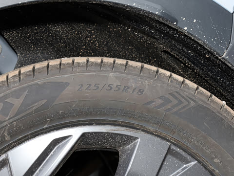 2026�� Ӱ�� 270T ������