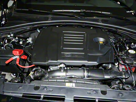 2026�� 250PS Dynamic SE