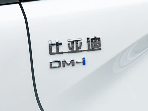 2026�� DM-i 320KM��Խ��