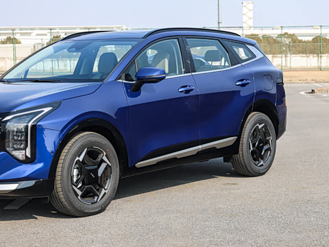 2026�� ����������