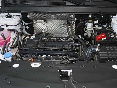 2025�� 1.5L �ֶ���Խ��