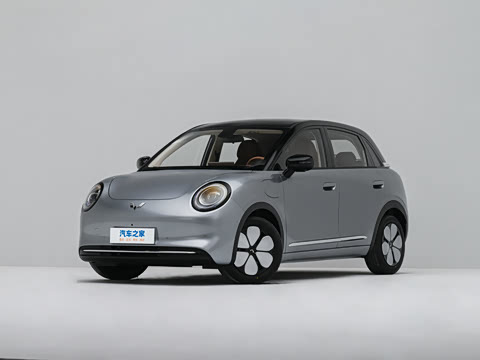 2026�� Pro 403km �콢��