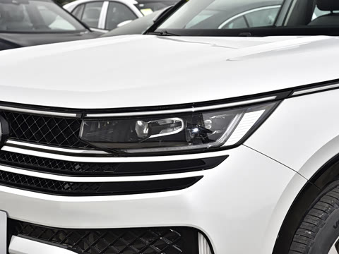 2026�� 380TSI ����R-LineѲ�� ������