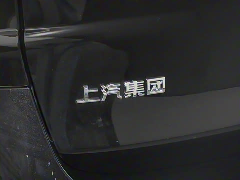 2025�� �Ŀ� MAX 2.0T �Զ������� ���� 7��