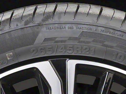 2026�� ����������ð�