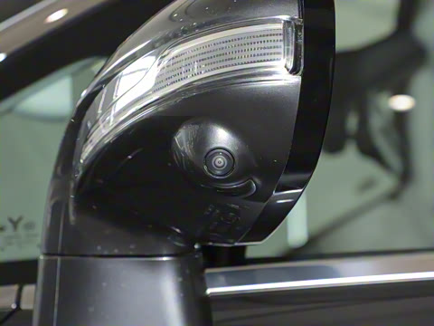 2025�� EV �������������